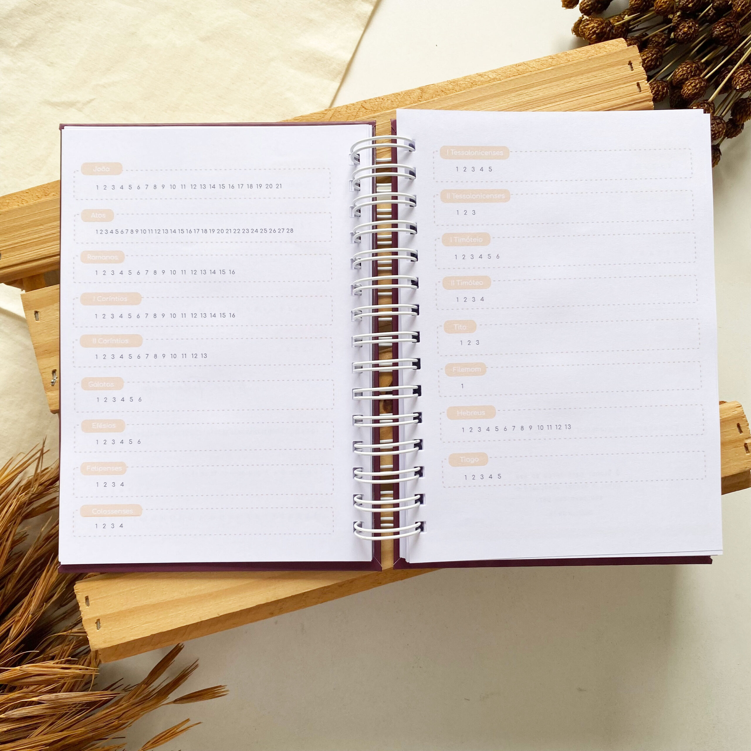 planner_devocional_2_minimalista_meu_tempo_com_deus (6)