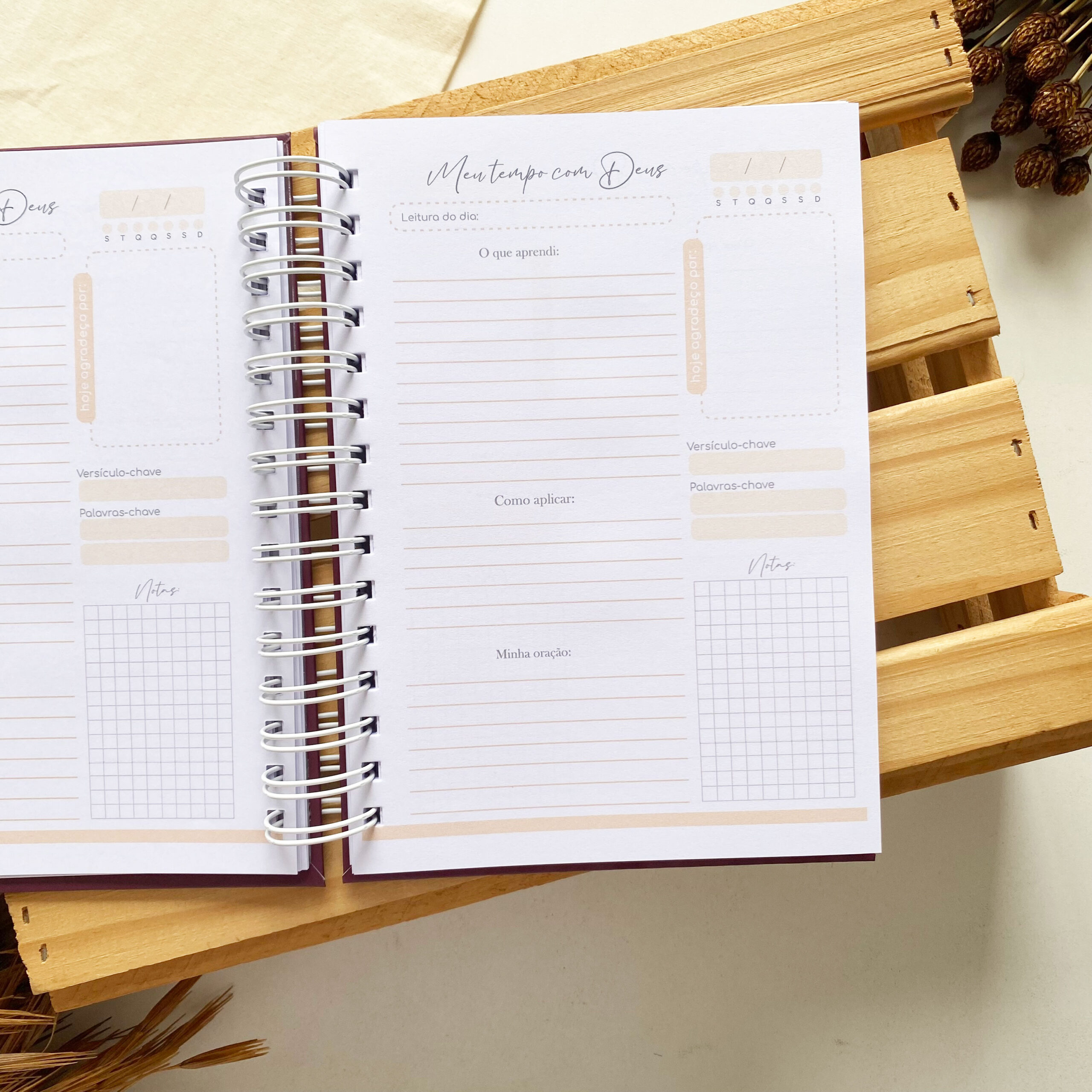 planner_devocional_2_minimalista_meu_tempo_com_deus (7)