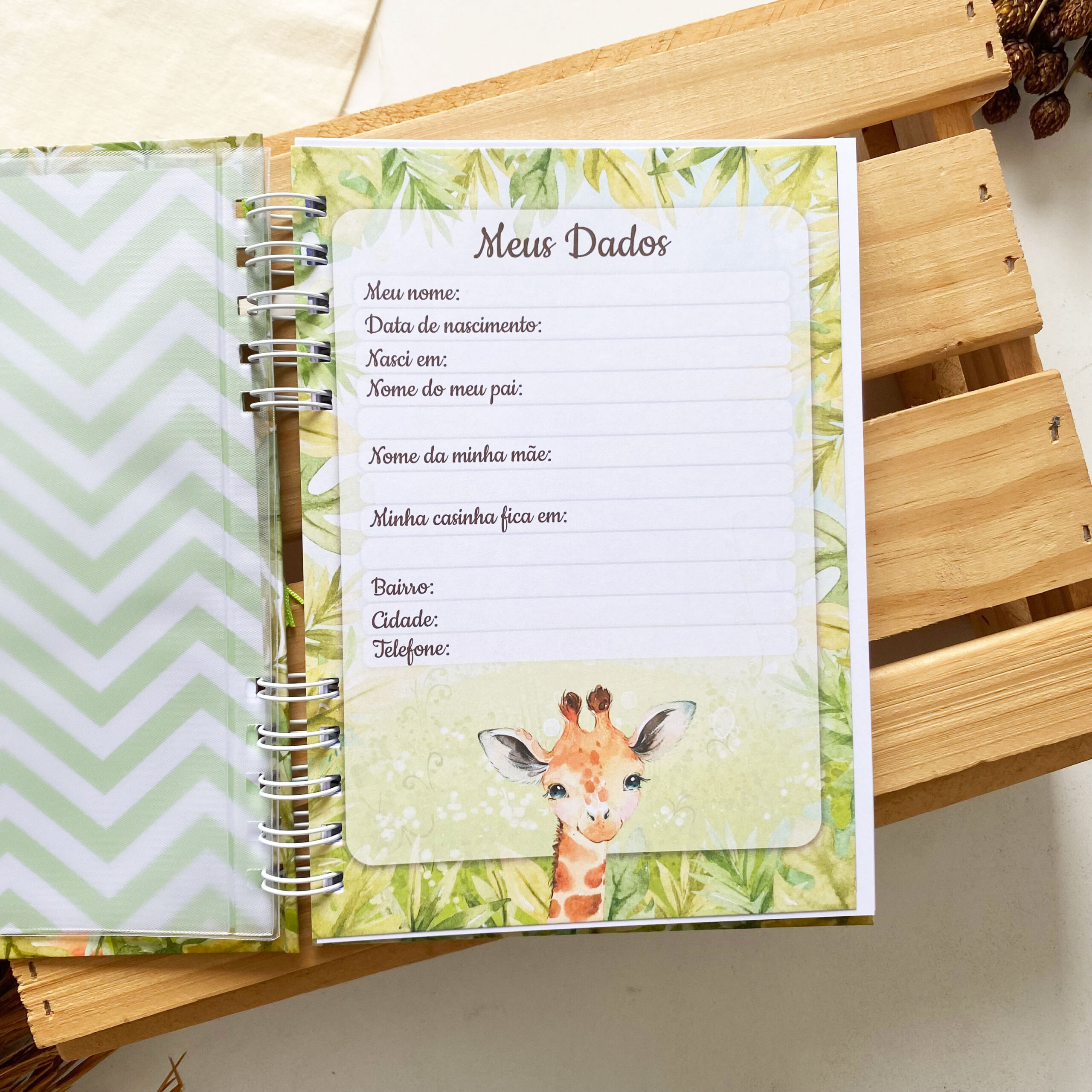 caderneta_de_saude_safari_savana_girafinha (4)