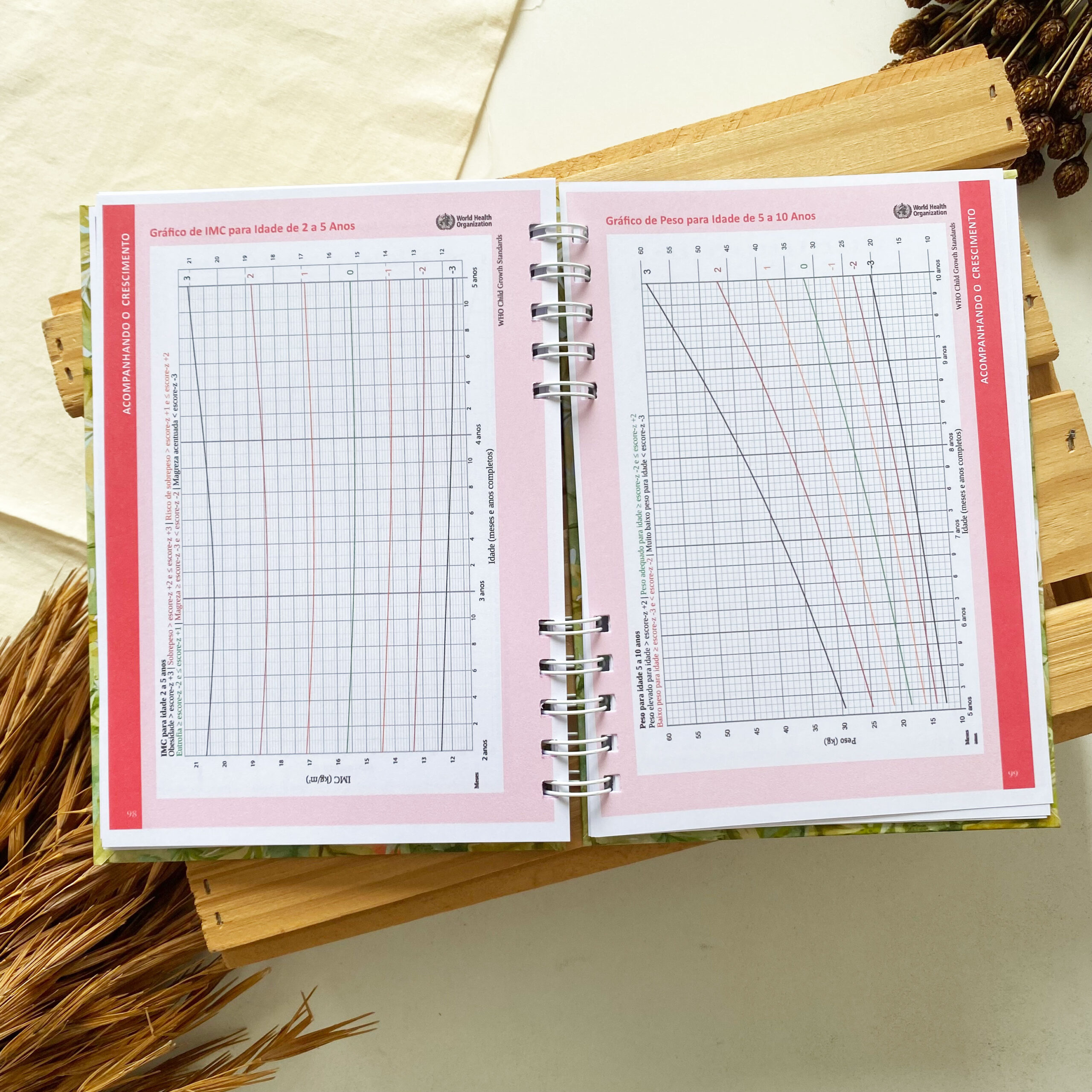 caderneta_de_saude_safari_savana_girafinha (7)