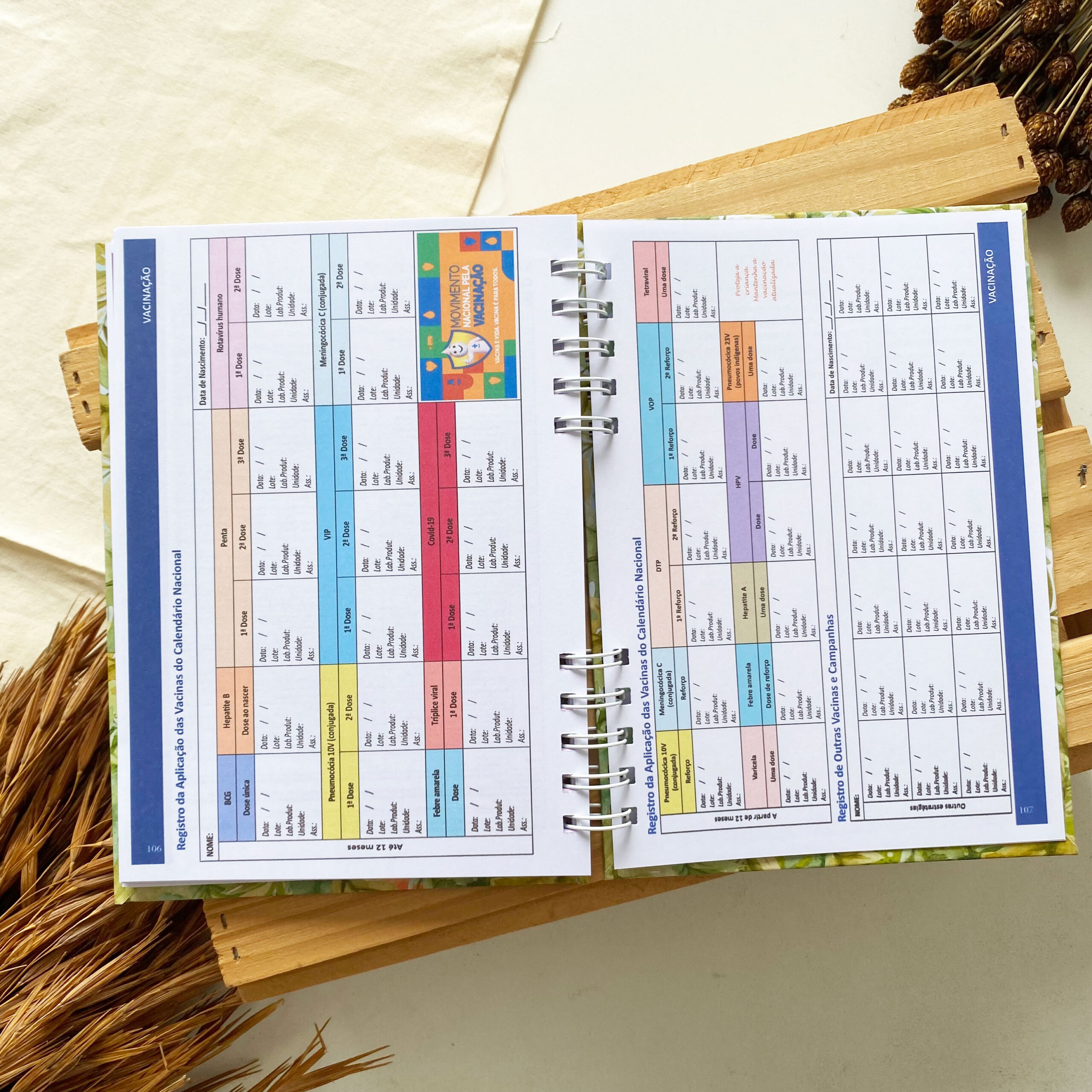 caderneta_de_saude_safari_savana_girafinha (8)