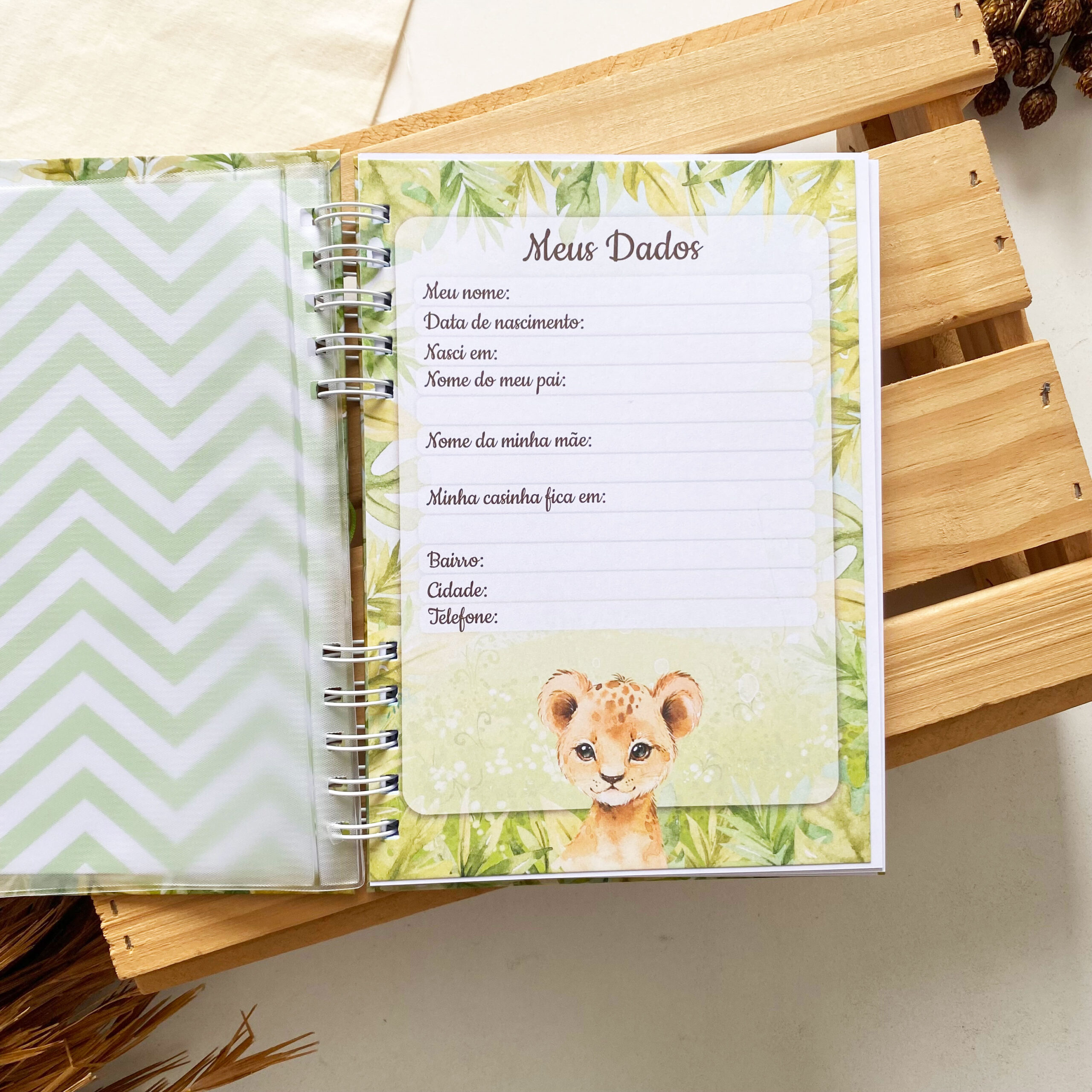 caderneta_de_saude_safari_savana_leaozinho (4)