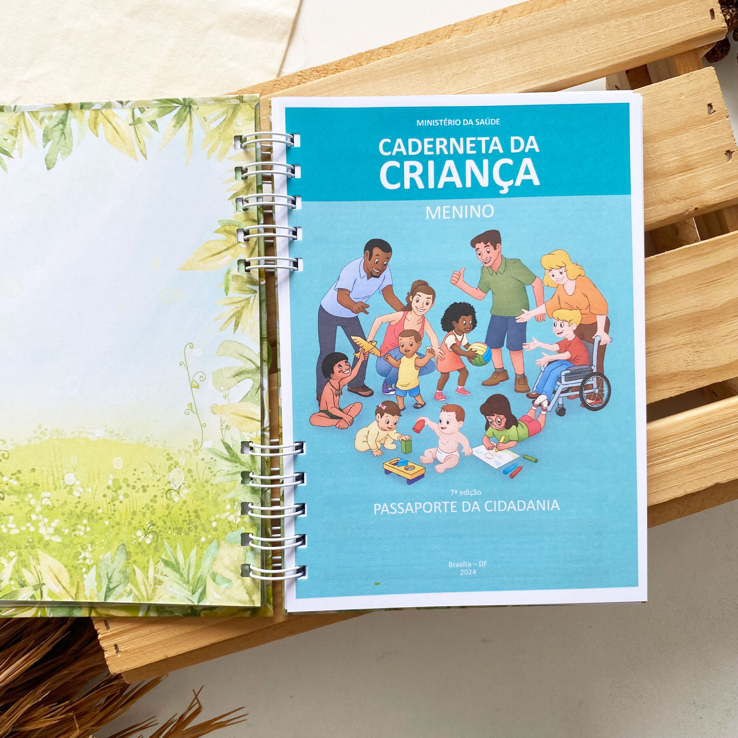 caderneta_de_saude_safari_savana_leaozinho (5)