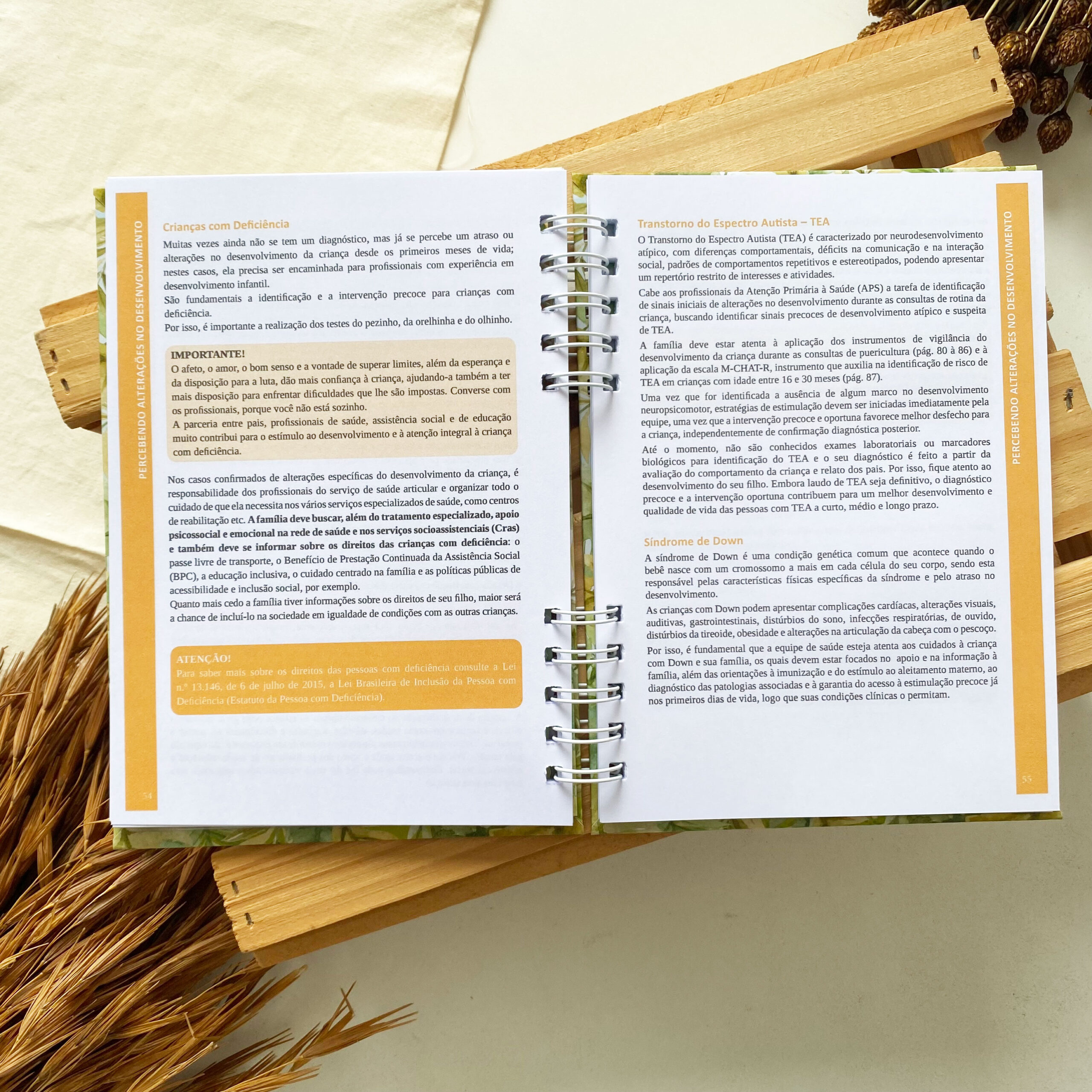 caderneta_de_saude_safari_savana_leaozinho (6)