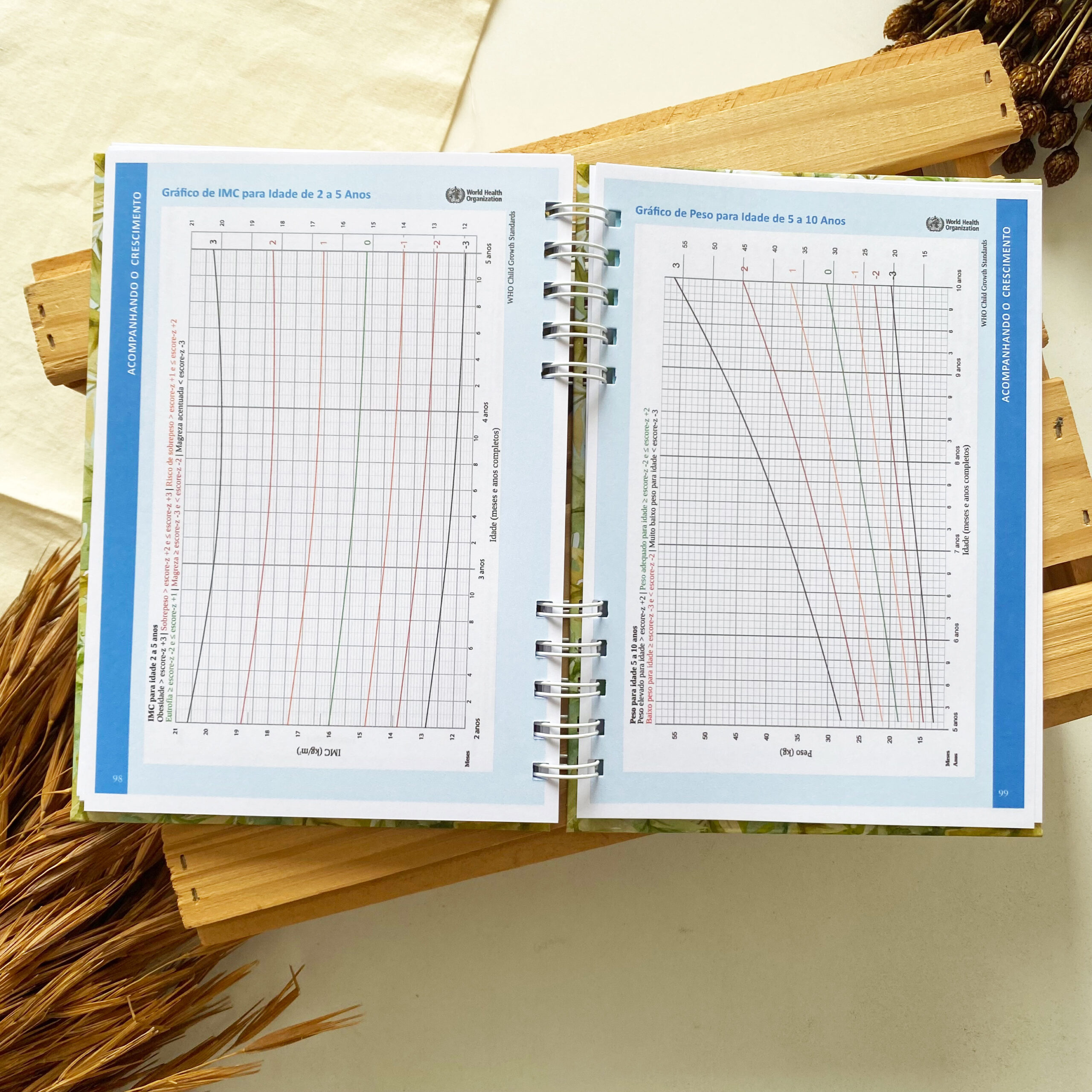 caderneta_de_saude_safari_savana_leaozinho (7)