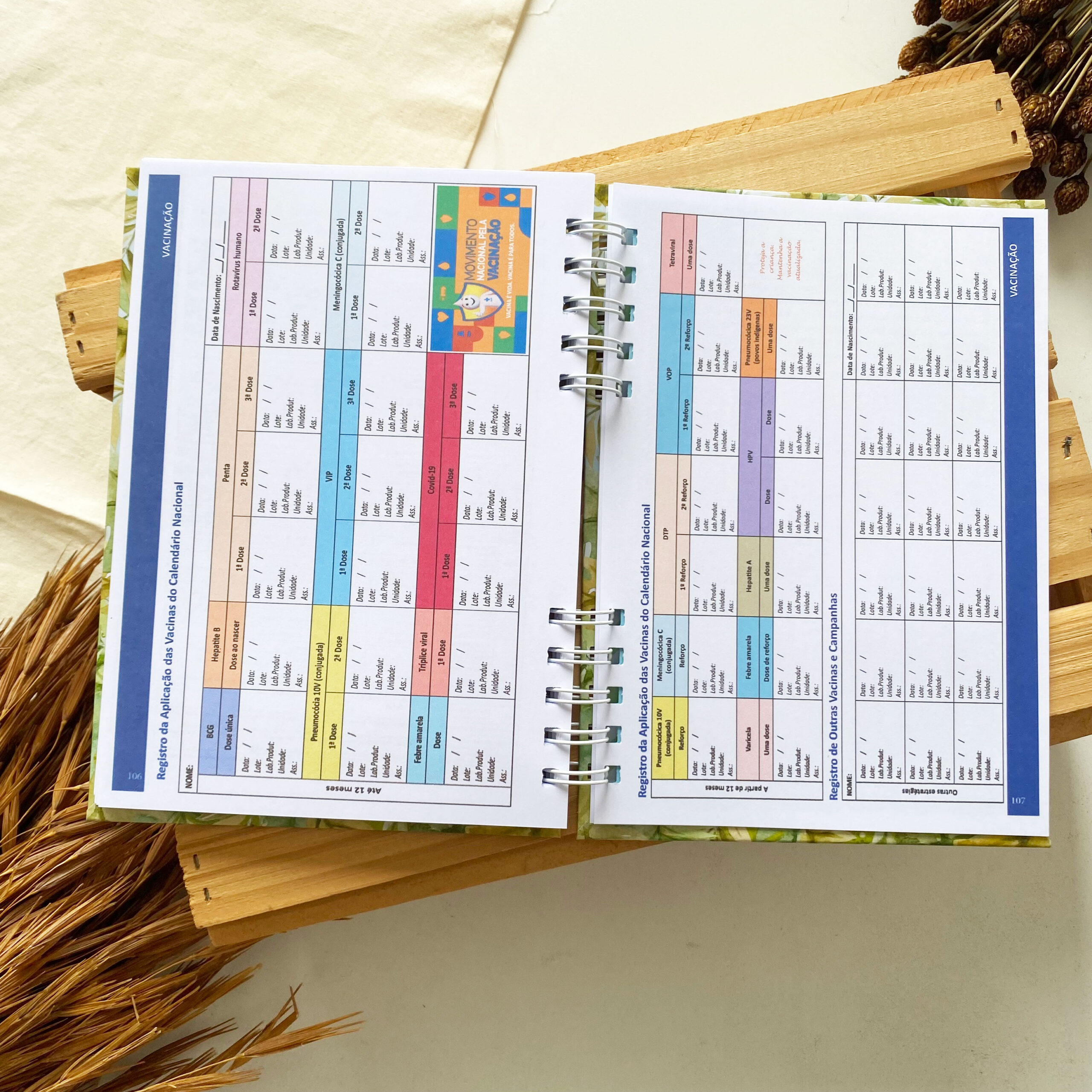 caderneta_de_saude_safari_savana_leaozinho (8)