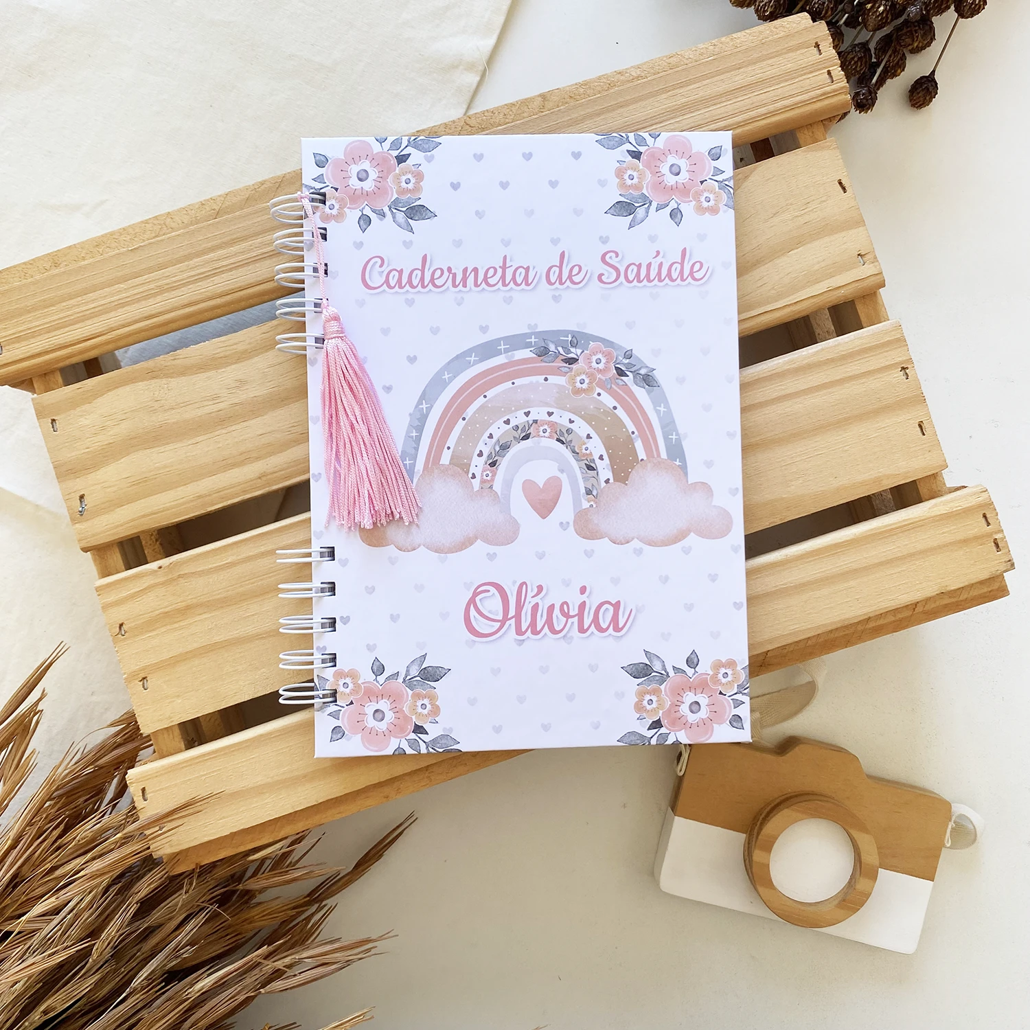 caderneta_de_saude_arco_iris_5 (1)