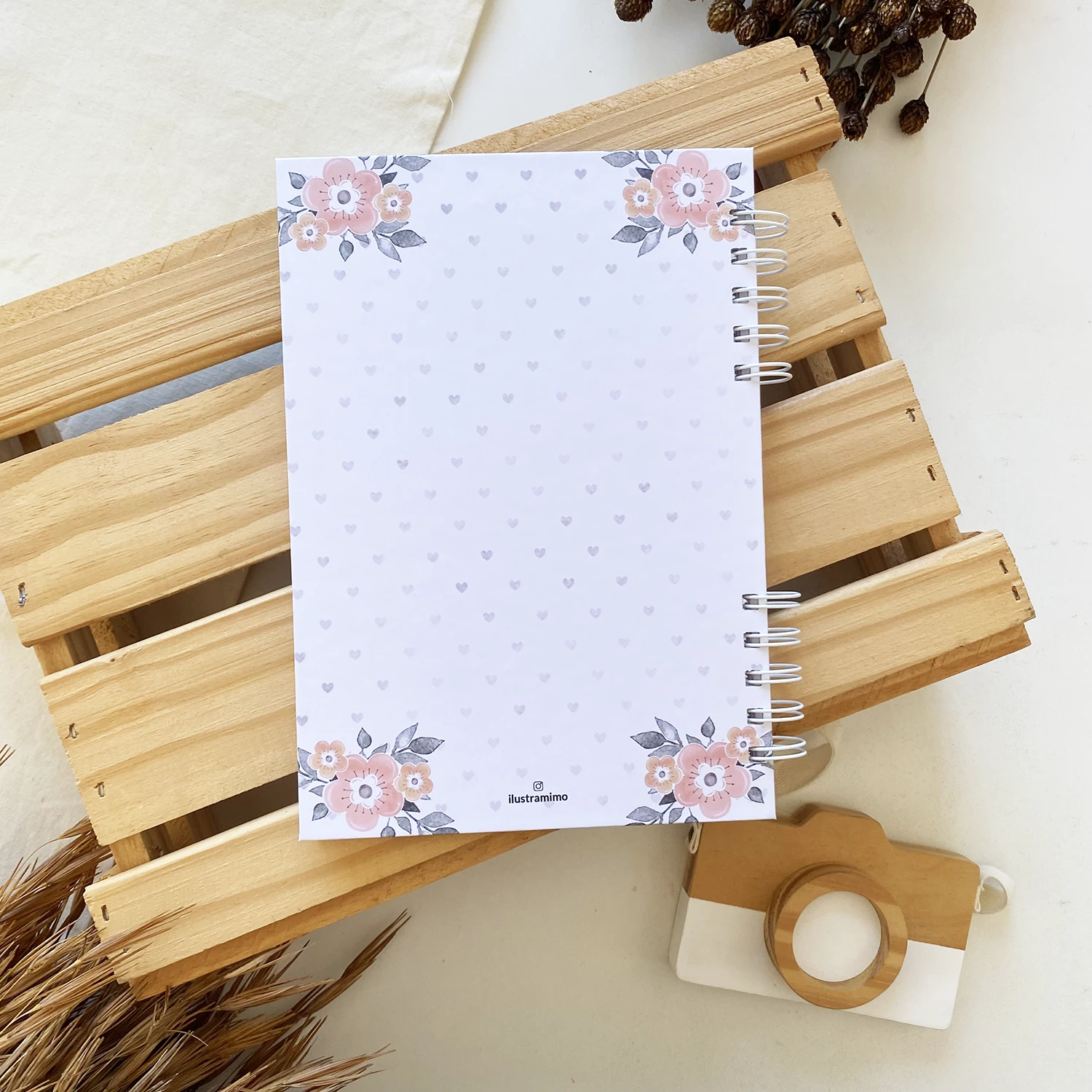 caderneta_de_saude_arco_iris_5 (2)