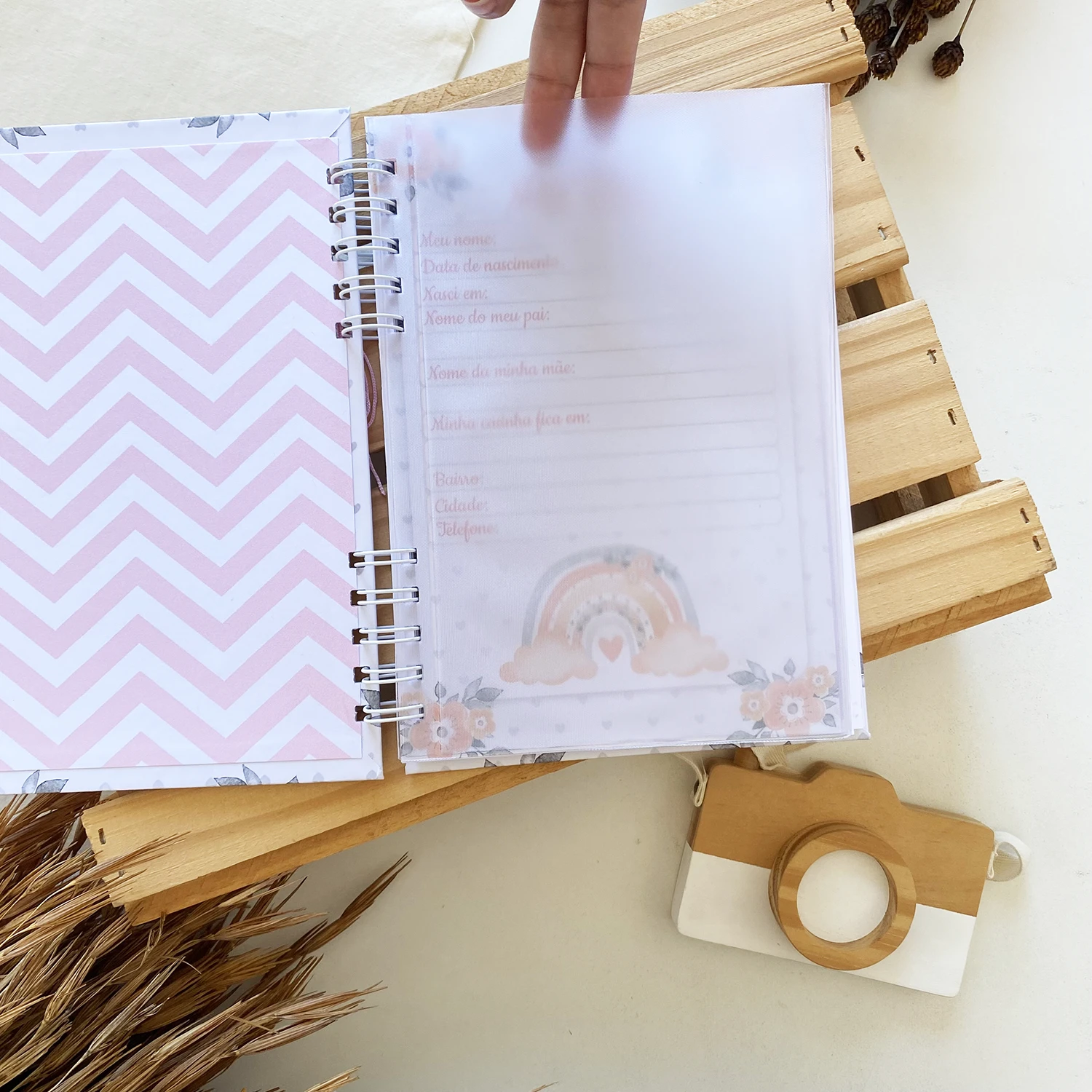 caderneta_de_saude_arco_iris_5 (3)