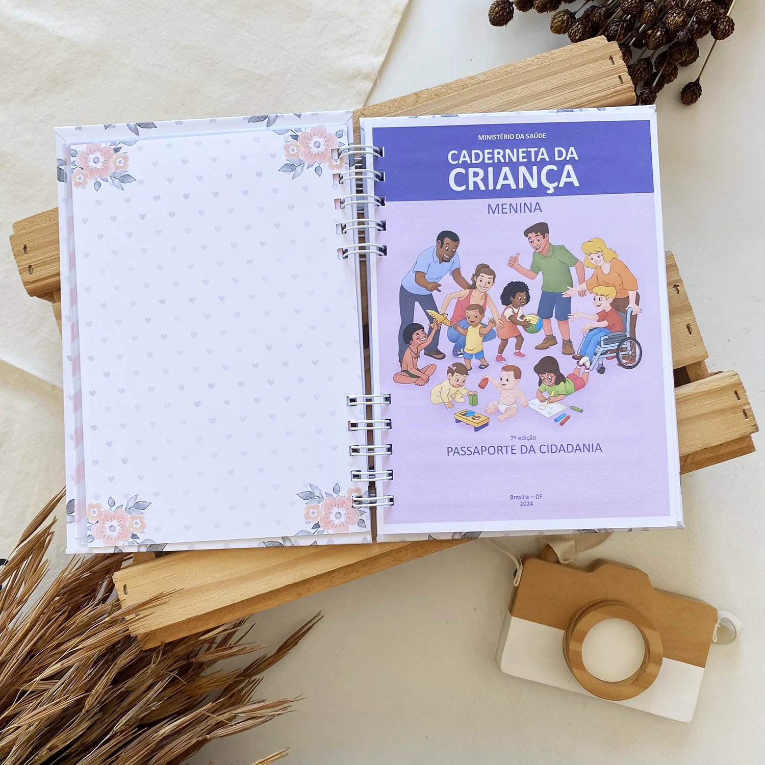 caderneta_de_saude_arco_iris_5 (5)