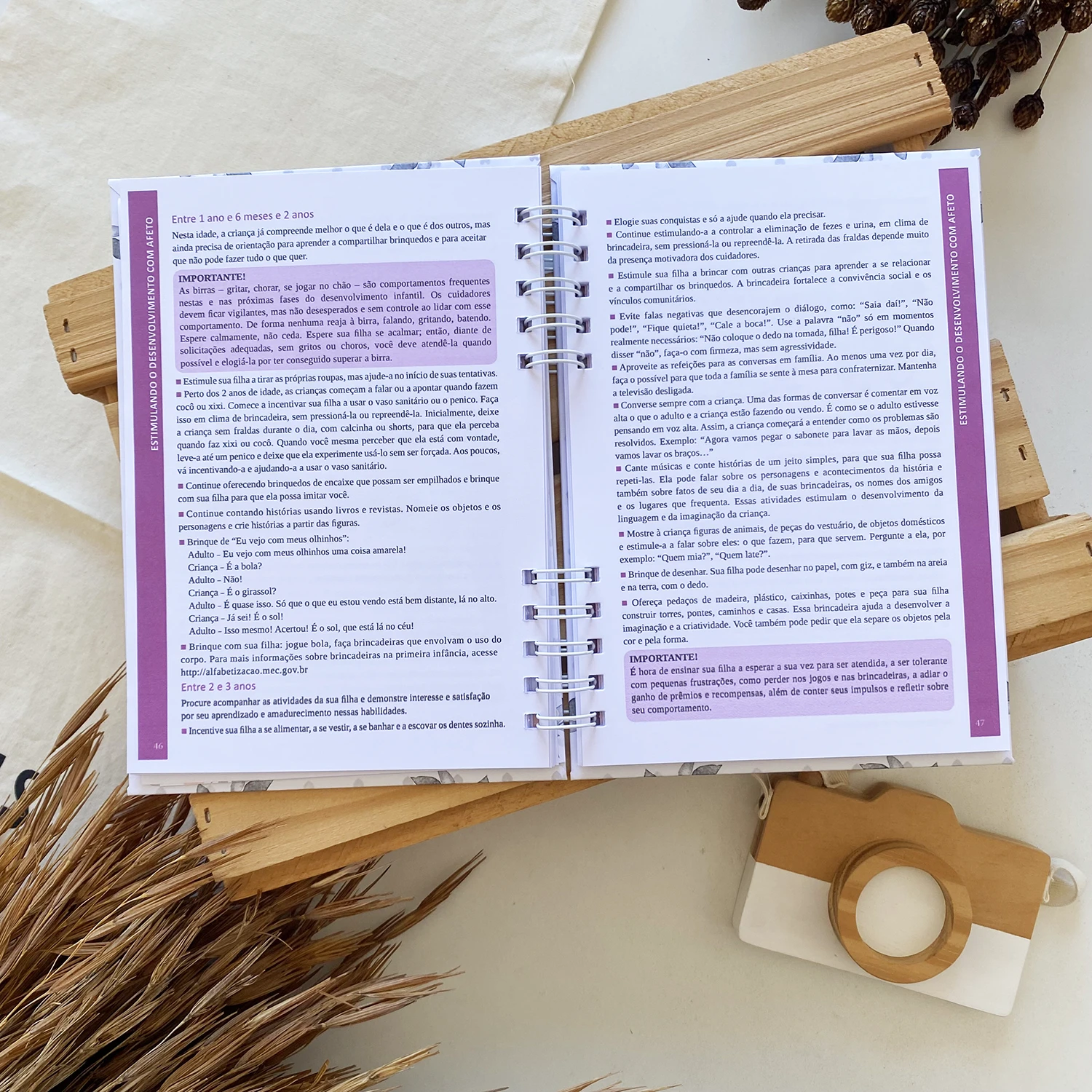 caderneta_de_saude_arco_iris_5 (6)