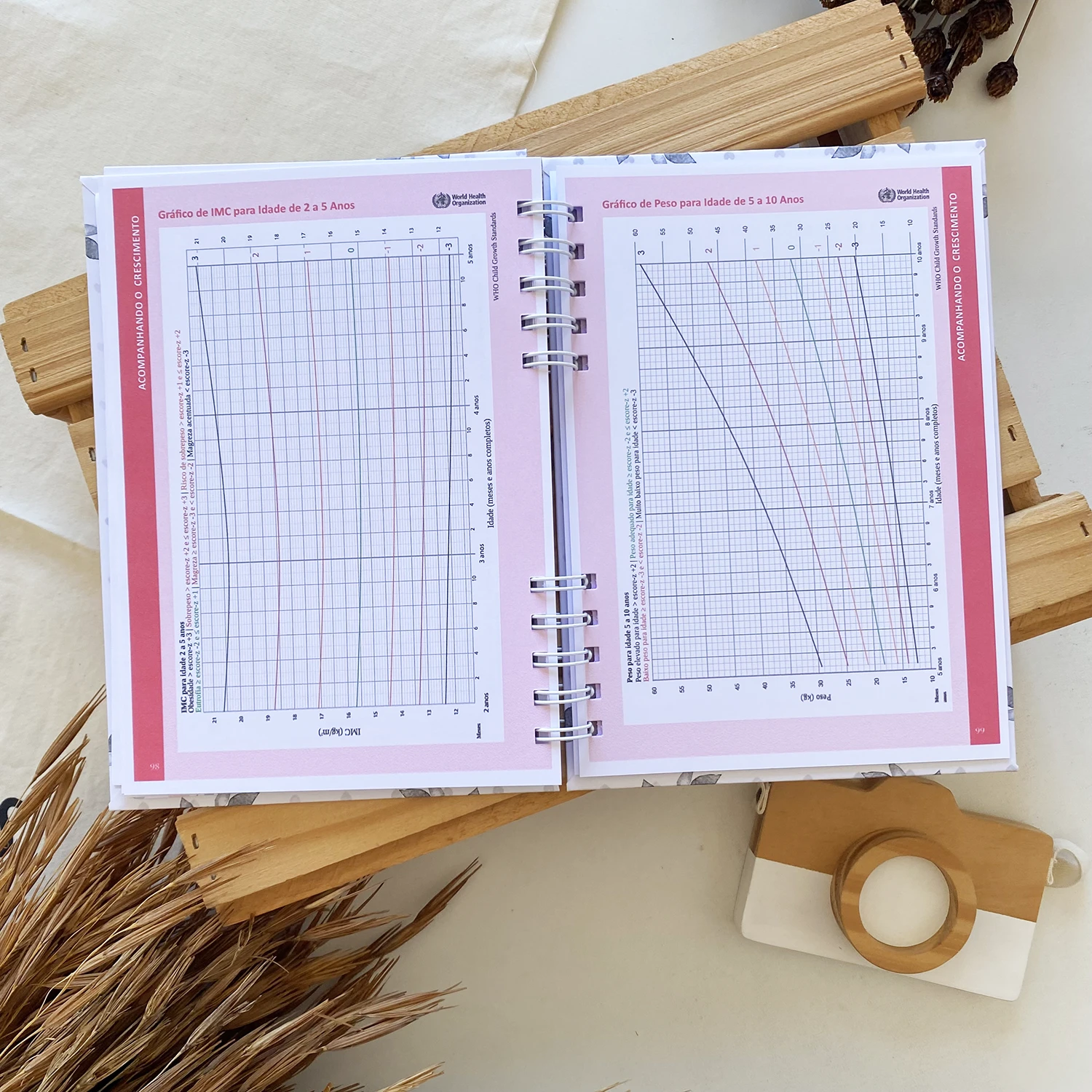 caderneta_de_saude_arco_iris_5 (7)