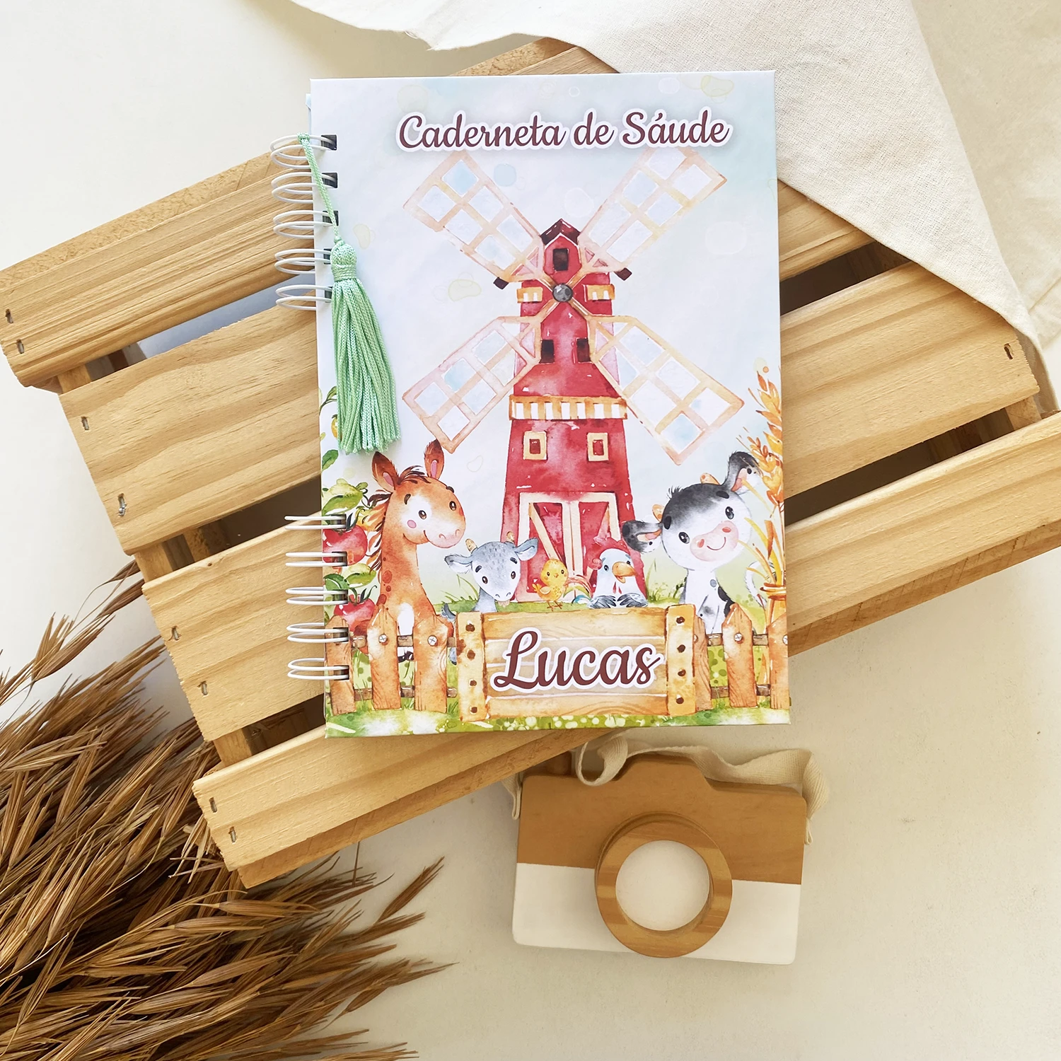 caderneta_de_saude_fazendinha_3 (1)