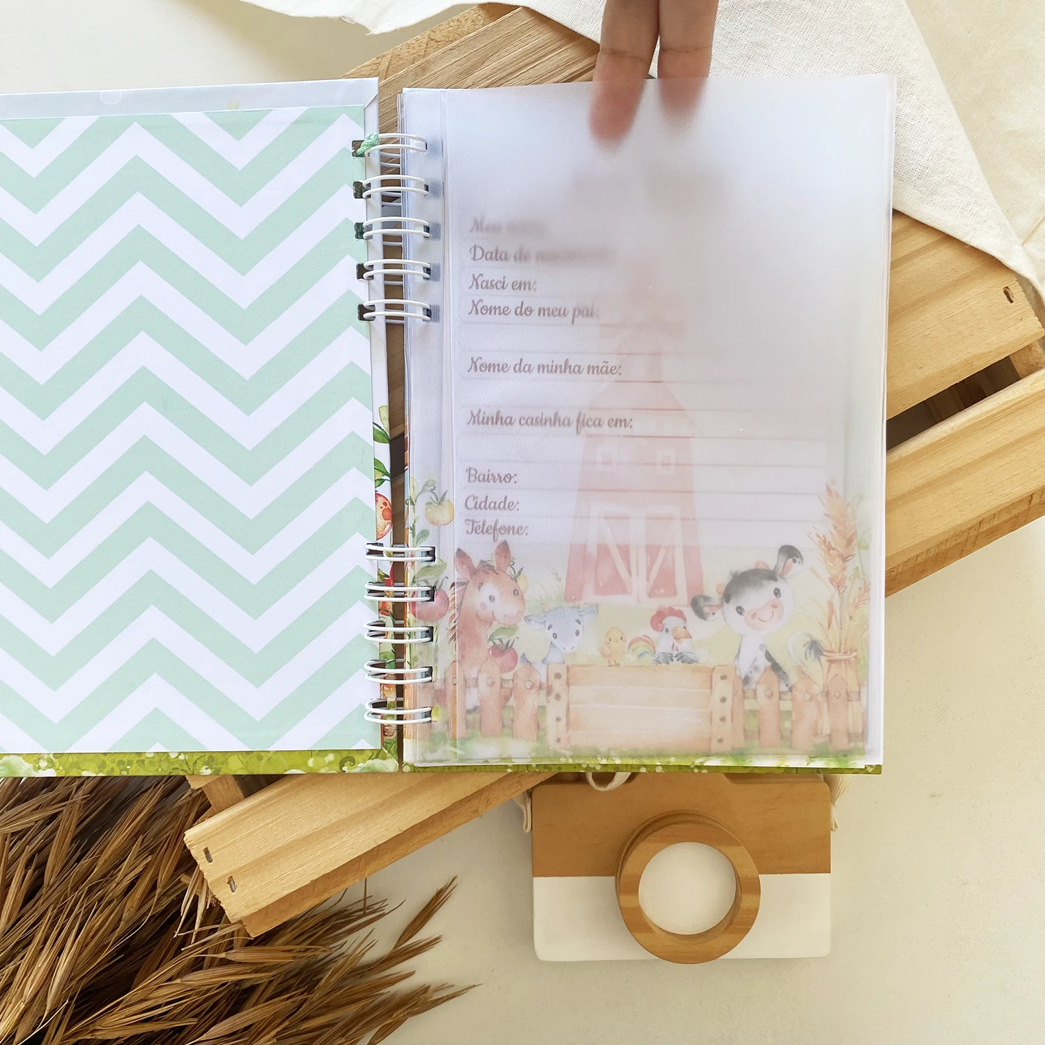 caderneta_de_saude_fazendinha_3 (3)