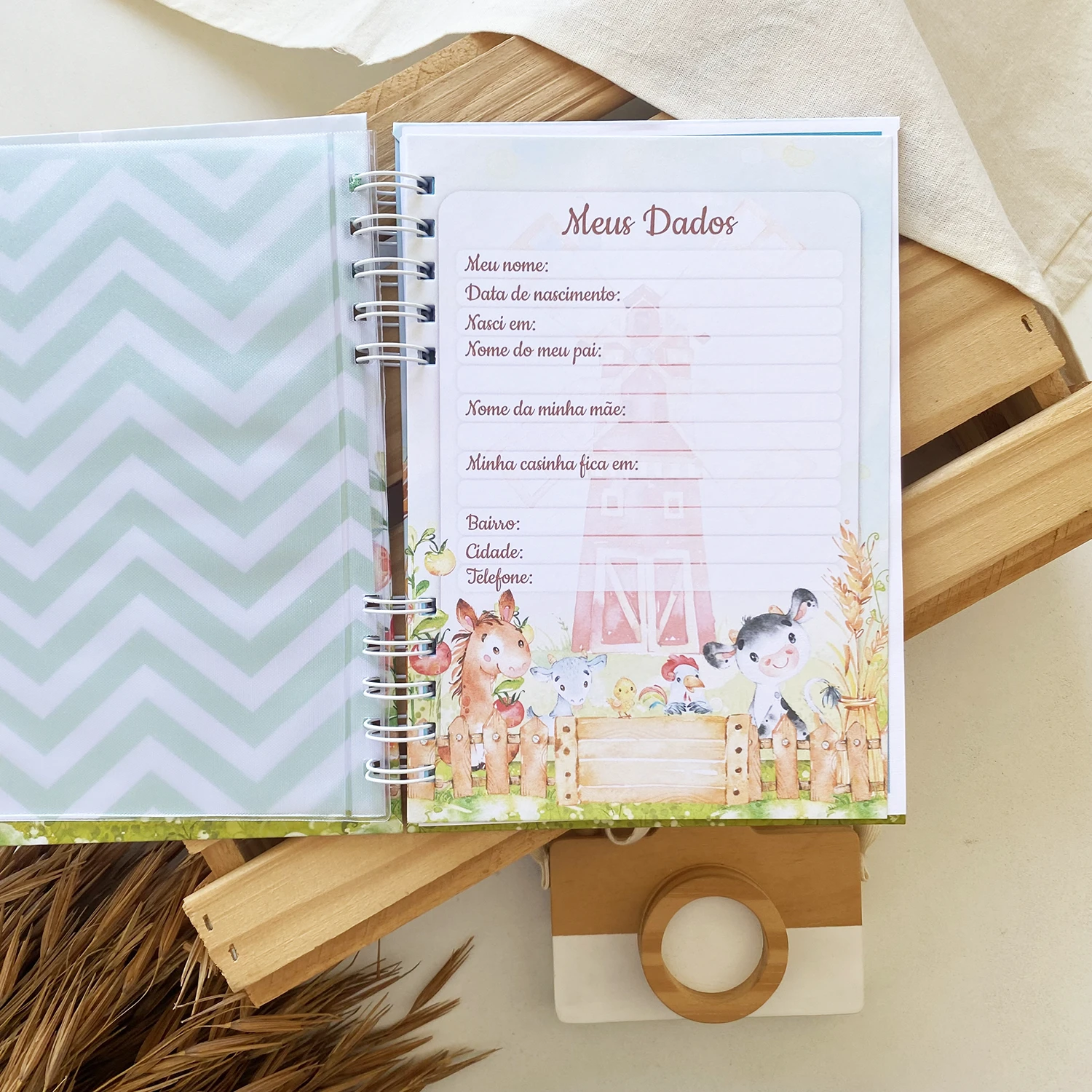 caderneta_de_saude_fazendinha_3 (4)