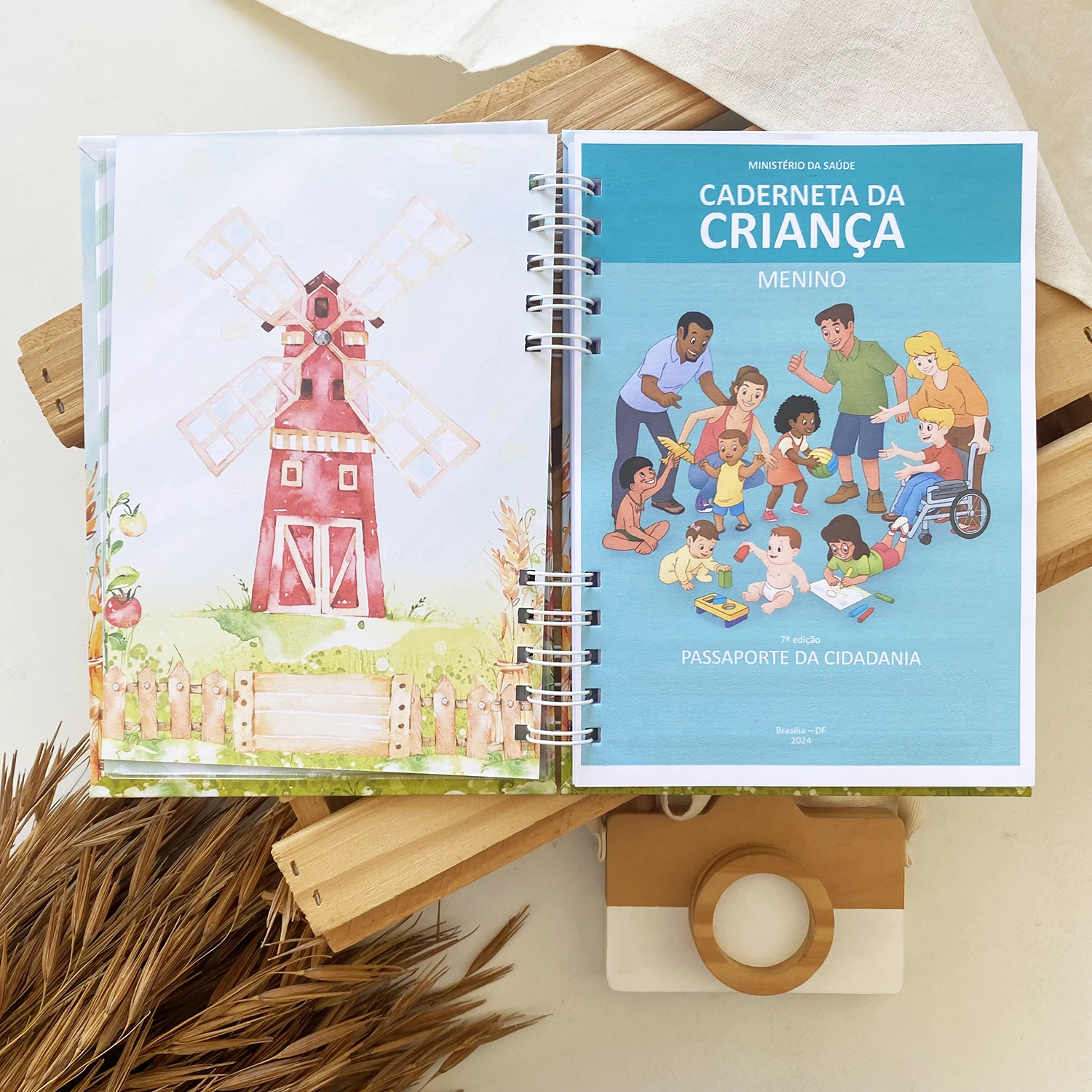 caderneta_de_saude_fazendinha_3 (5)