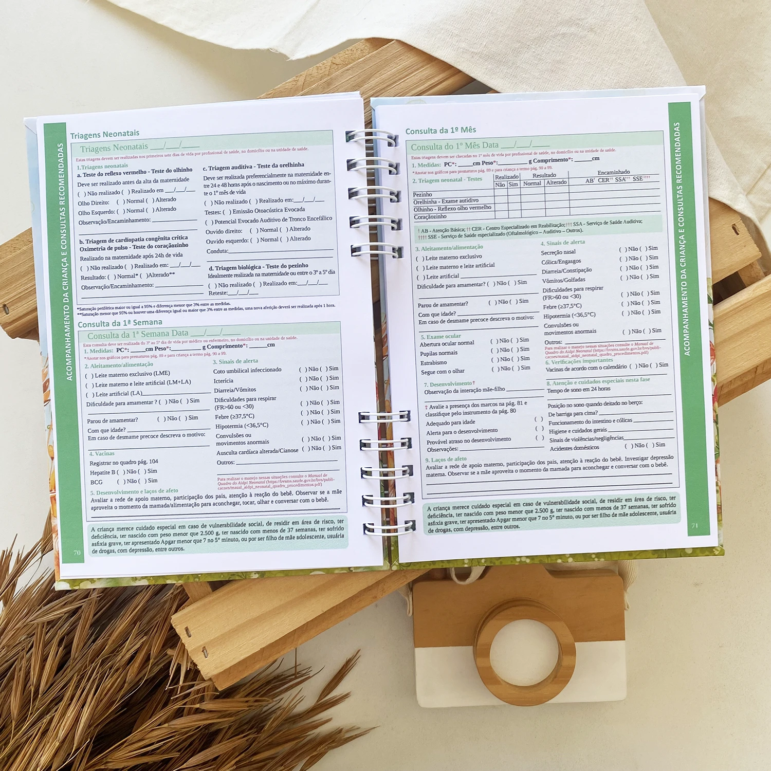 caderneta_de_saude_fazendinha_3 (6)