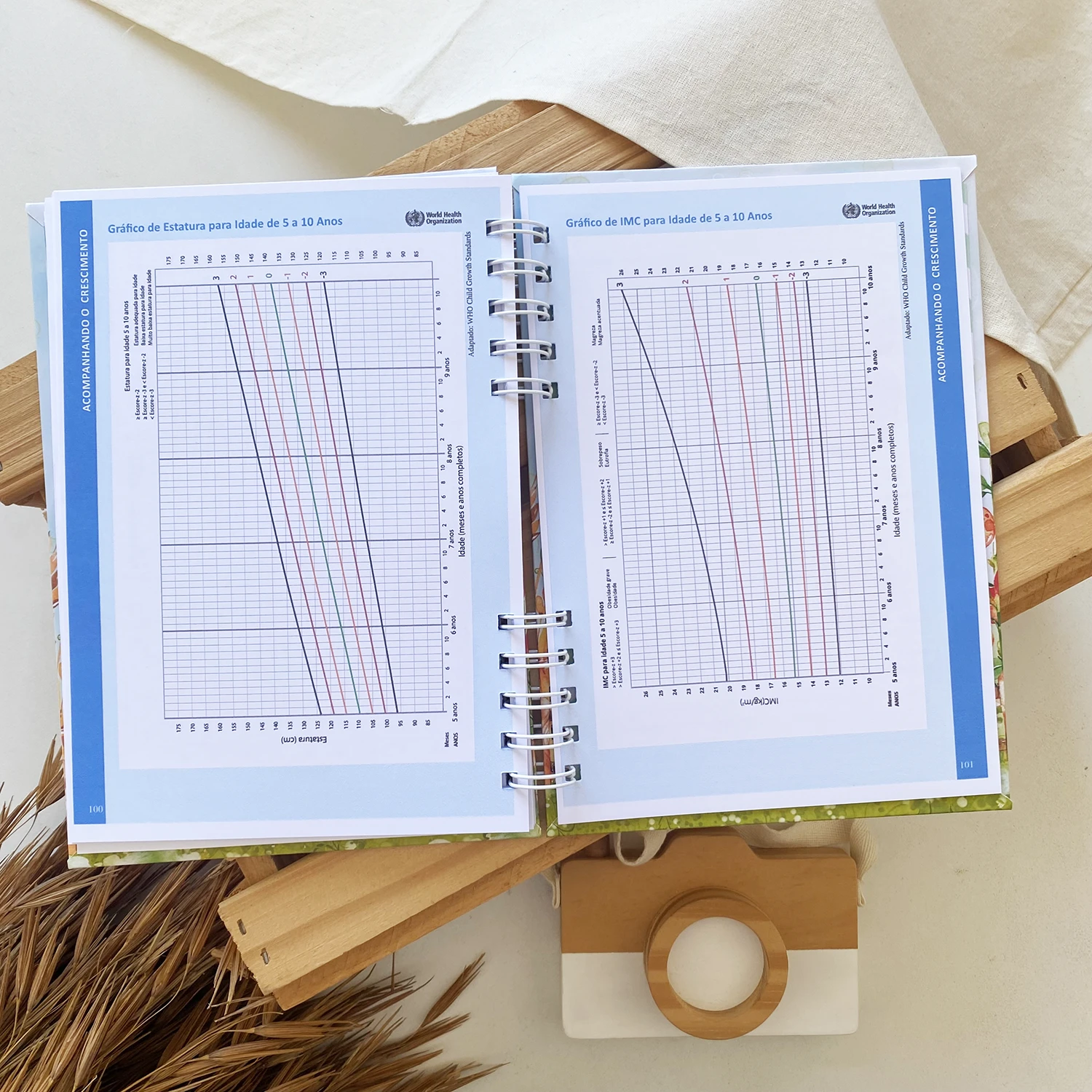 caderneta_de_saude_fazendinha_3 (7)