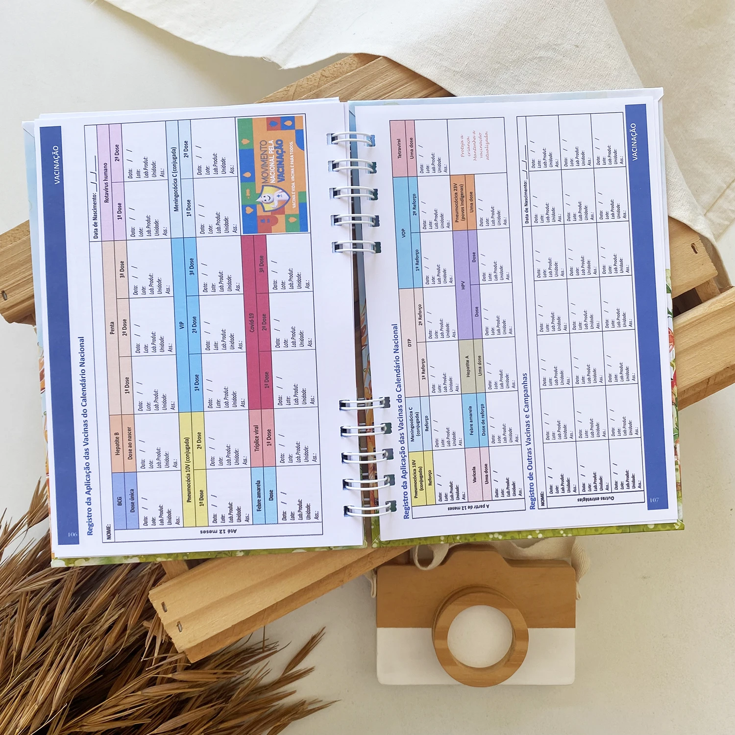 caderneta_de_saude_fazendinha_3 (8)