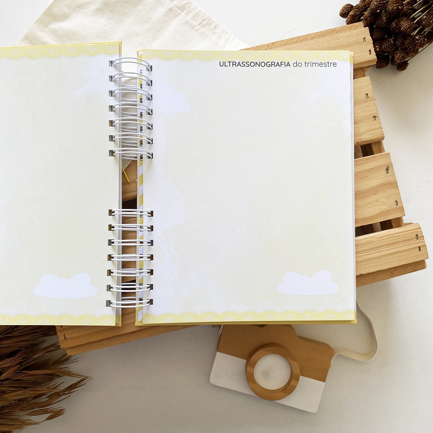 diario_da_gestante_gatinho_2 (11)