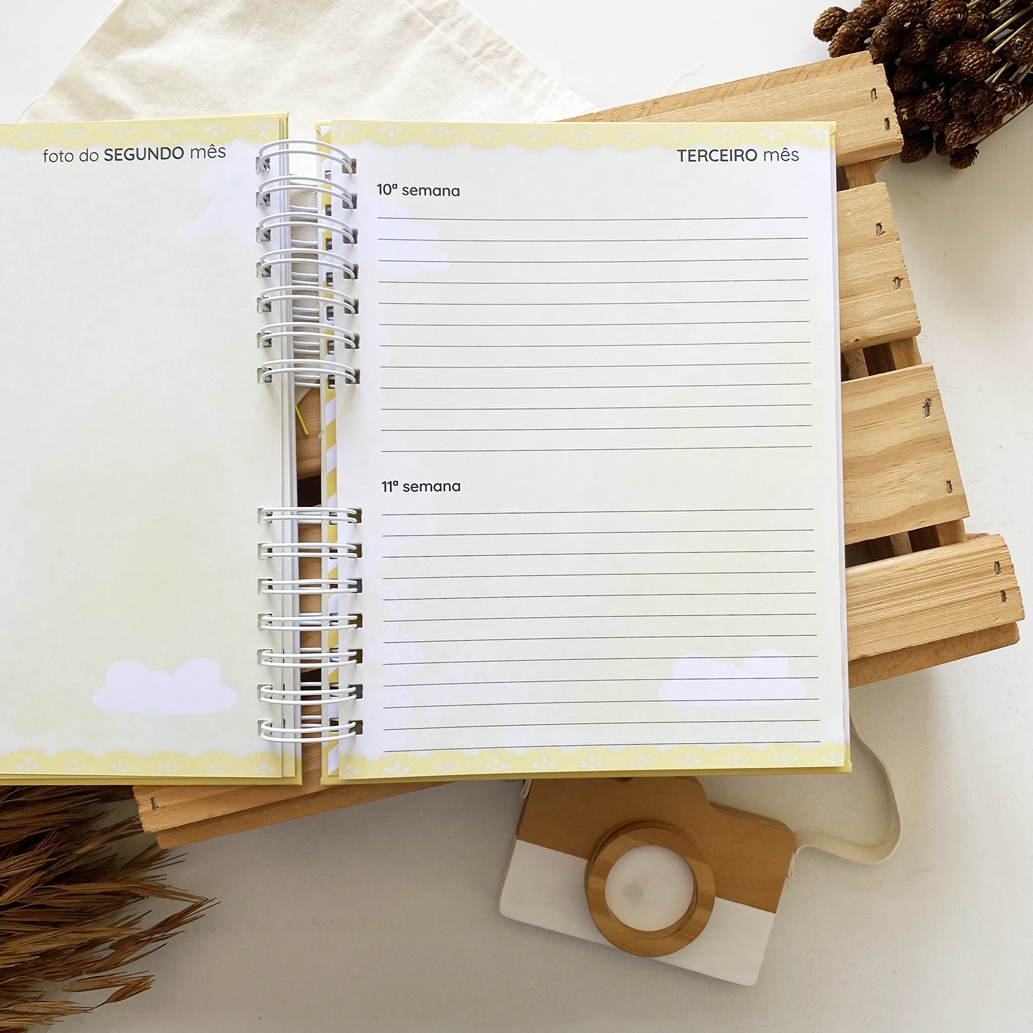 diario_da_gestante_gatinho_2 (12)