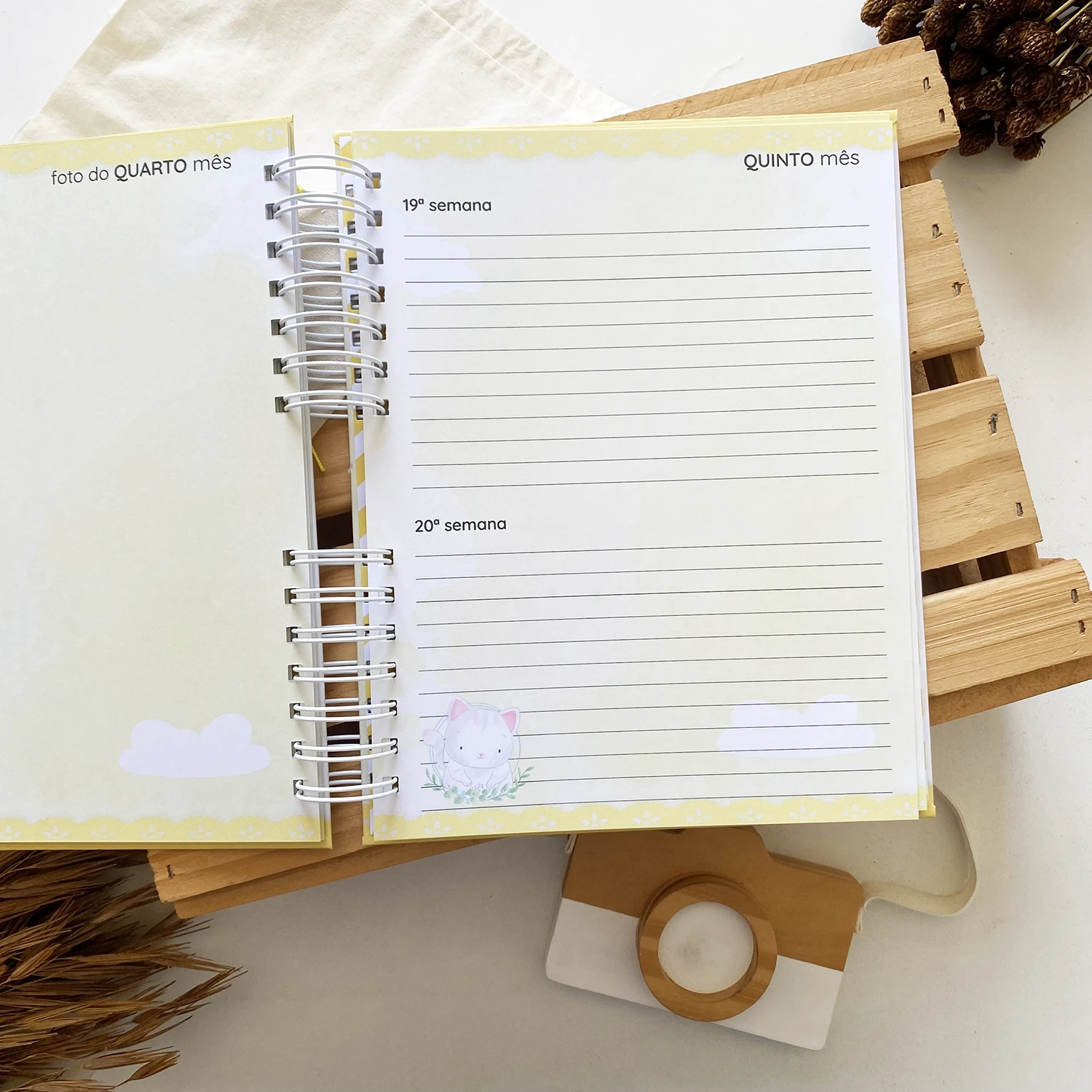 diario_da_gestante_gatinho_2 (13)