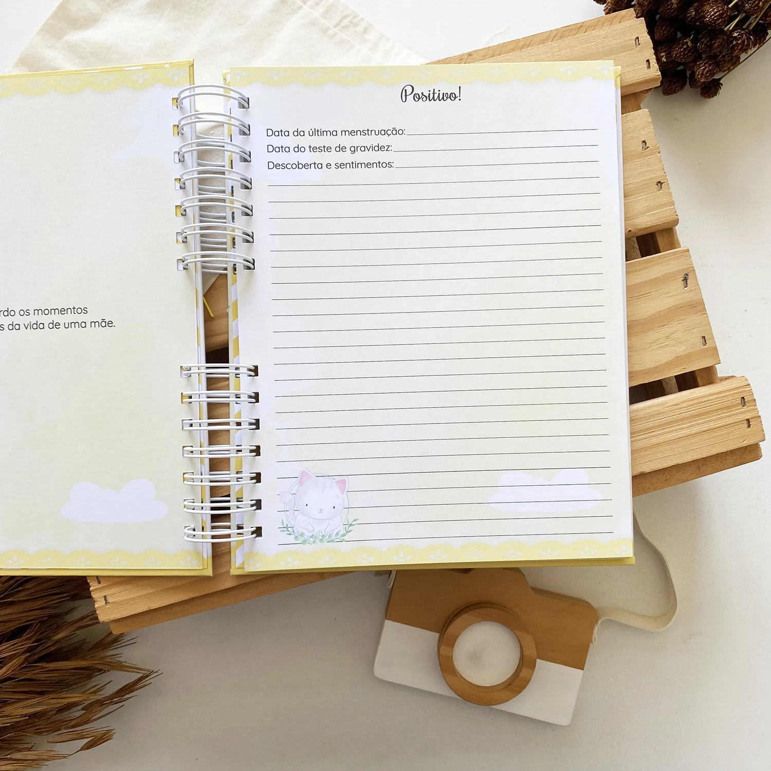 diario_da_gestante_gatinho_2 (4)