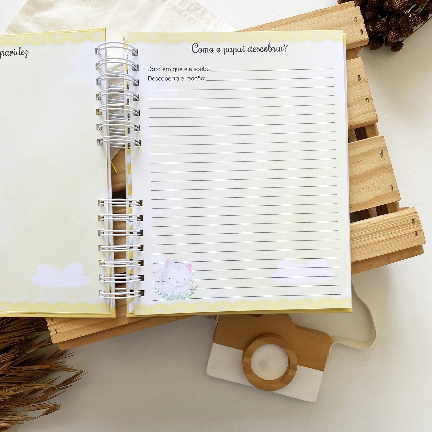 diario_da_gestante_gatinho_2 (5)