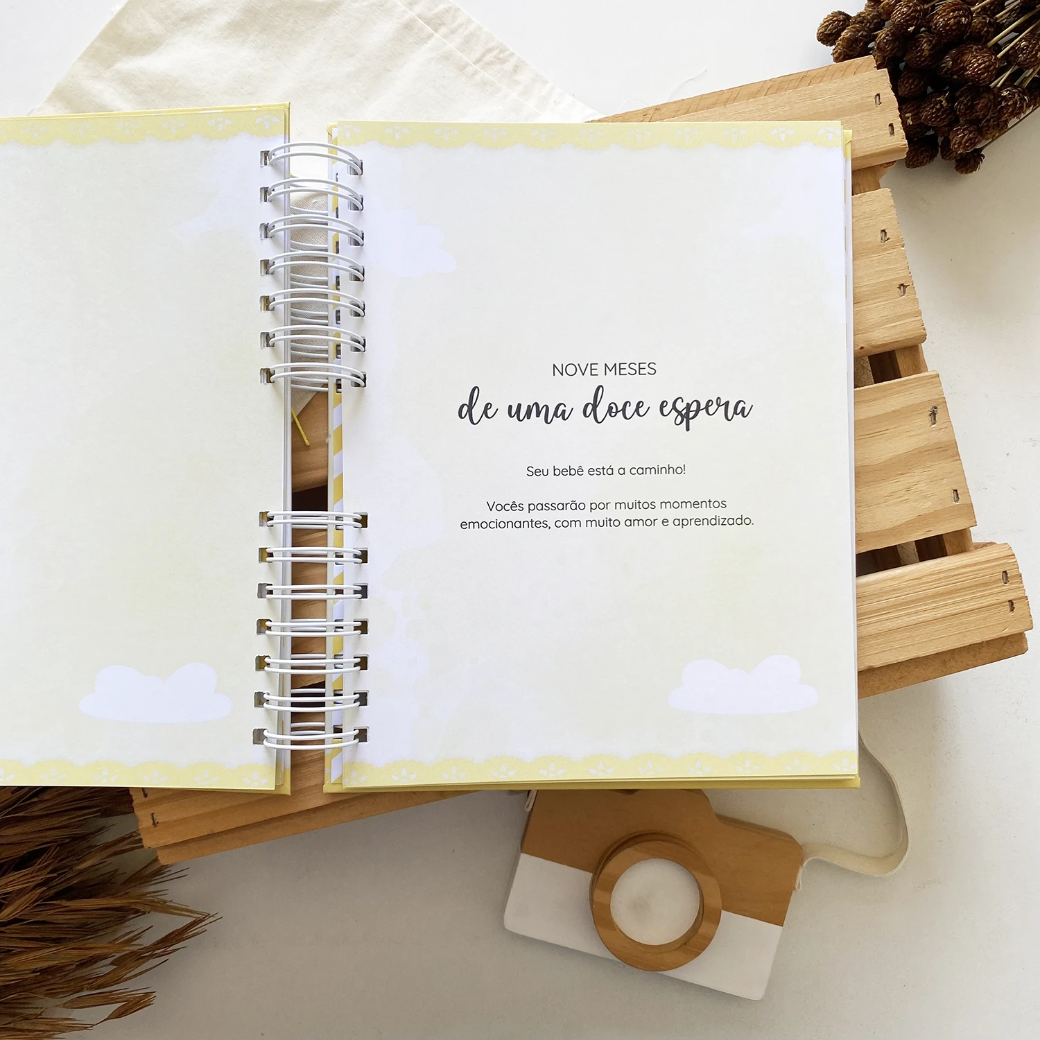 diario_da_gestante_gatinho_2 (9)