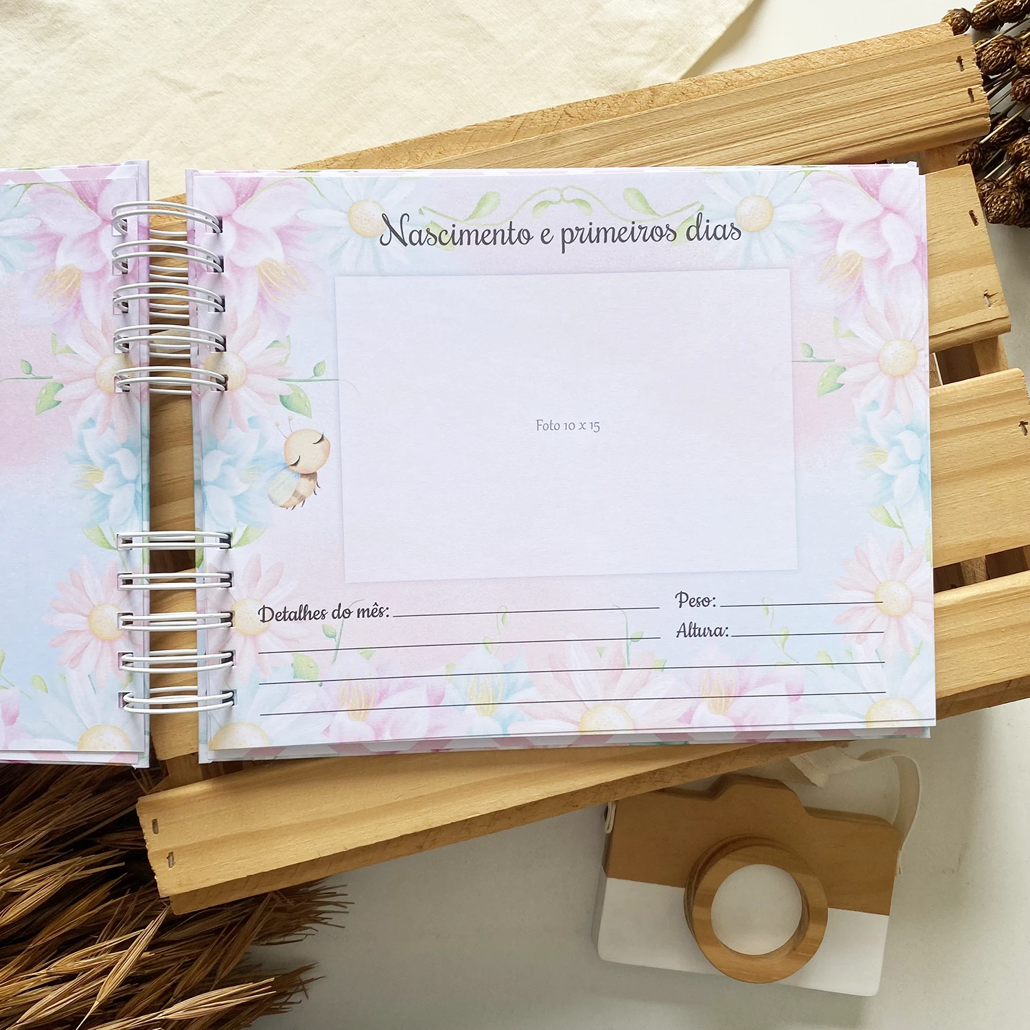 album_de_mesversario_abelhinha_3 (4)