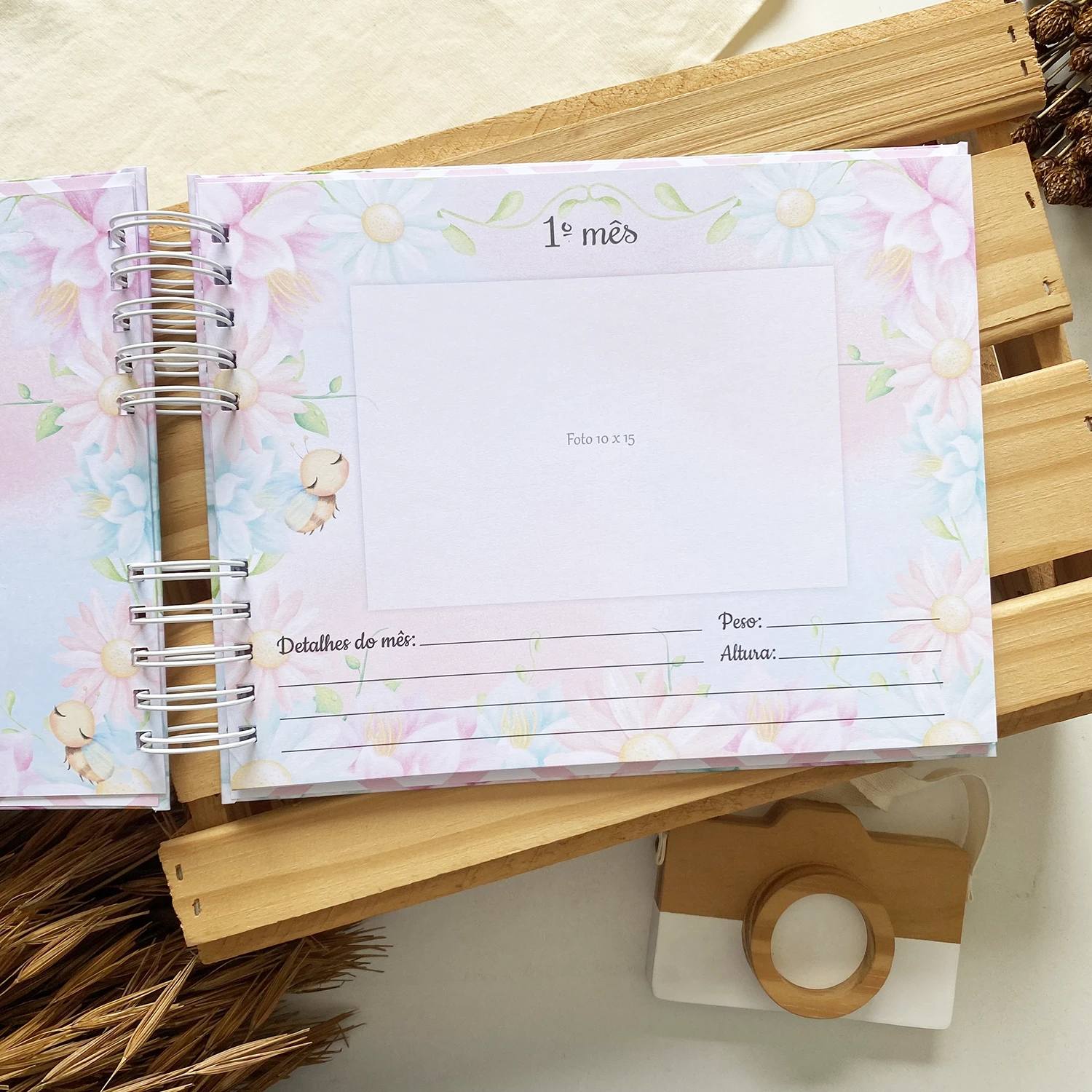 album_de_mesversario_abelhinha_3 (6)