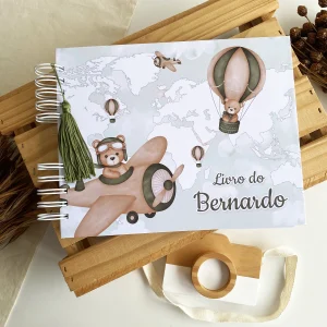 Livro do Bebê Ursinho Aviador