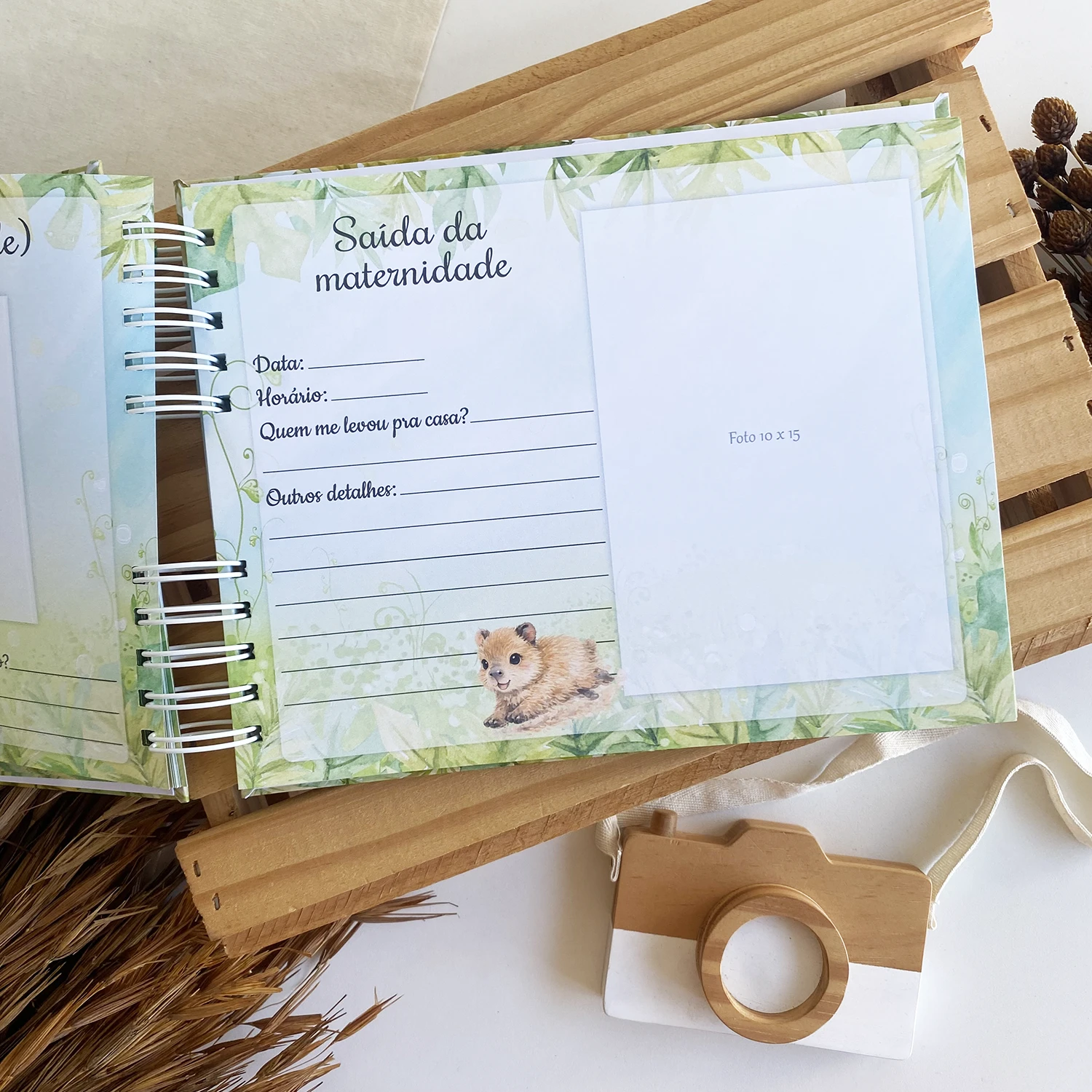 livro_do_bebe_capivara (10)