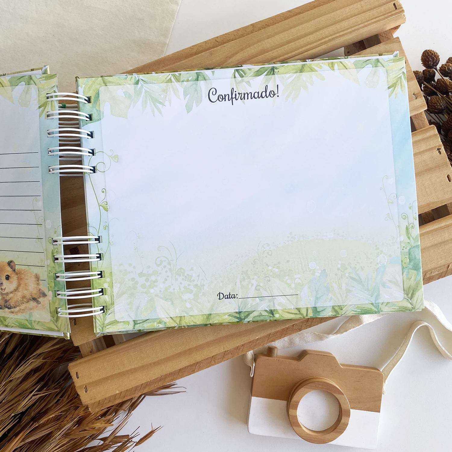 livro_do_bebe_capivara (4)