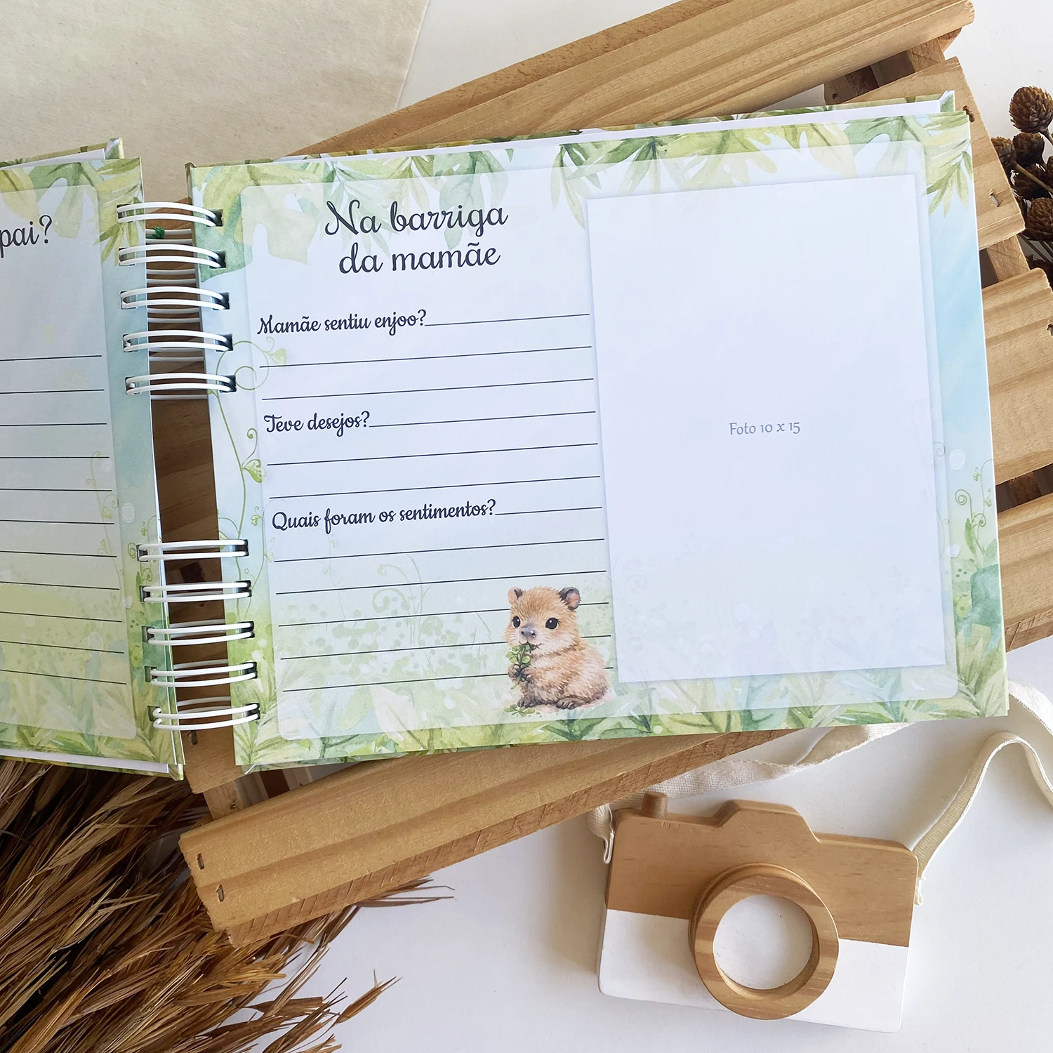 livro_do_bebe_capivara (5)