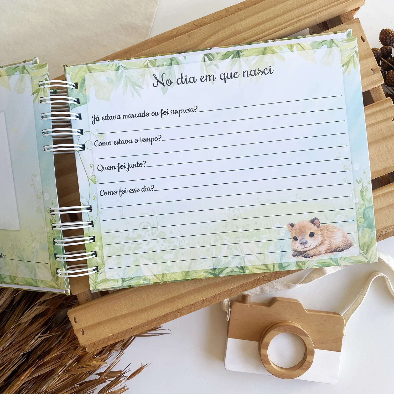 livro_do_bebe_capivara (7)