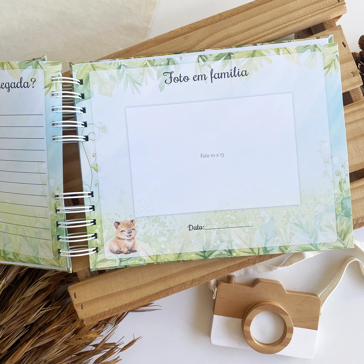 livro_do_bebe_capivara (8)