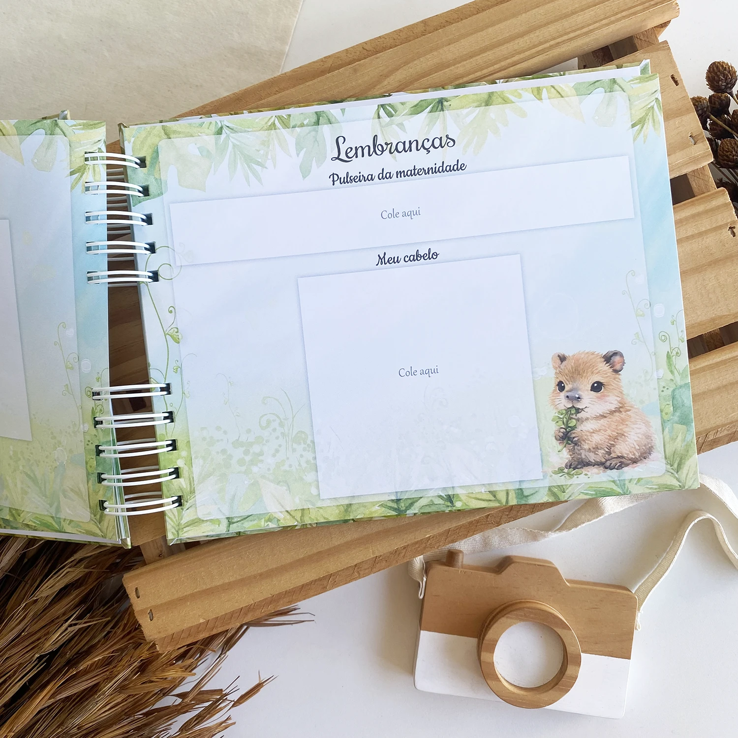 livro_do_bebe_capivara (9)